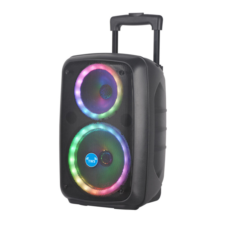 Party Speaker Features