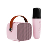 Portable Karaoke Audio Professional Wireless Home Ktv Speaker with Wireless Microphone
