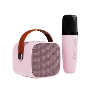 Portable Karaoke Audio Professional Wireless Home Ktv Speaker with Wireless Microphone