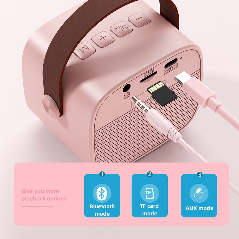 Portable Karaoke Audio Professional Wireless Home Ktv Speaker with Wireless Microphone