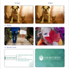 Business Credit Card Shape Usb Flash Drive
