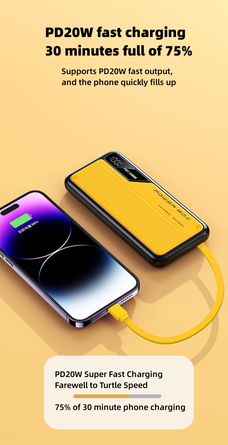 PD20W Fast Charging Power Bank